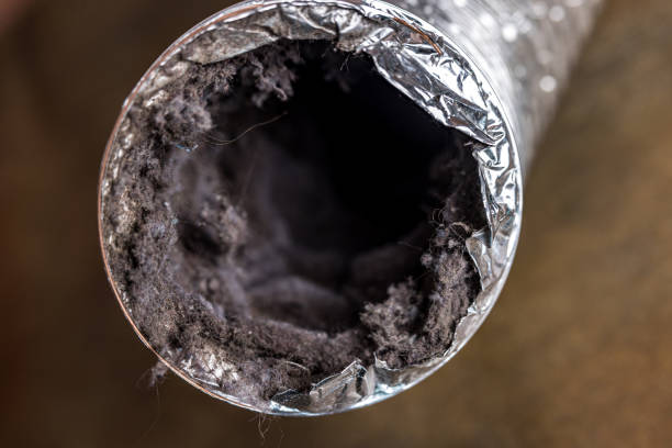 Best Air Duct Cleaning Near Me  in Ocean View, DE